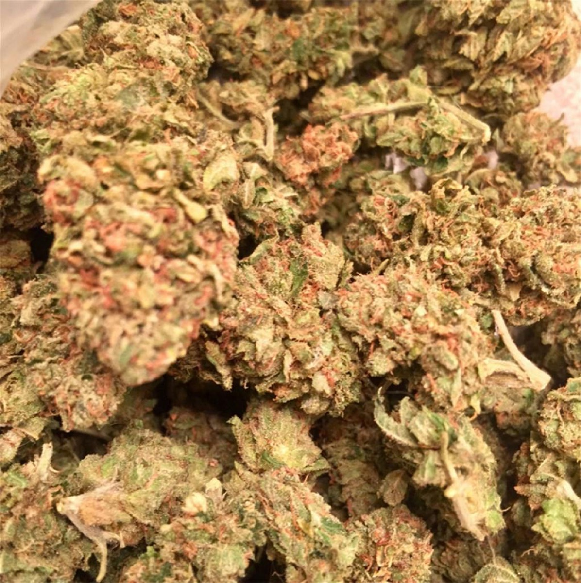 Photo of Face Off OG