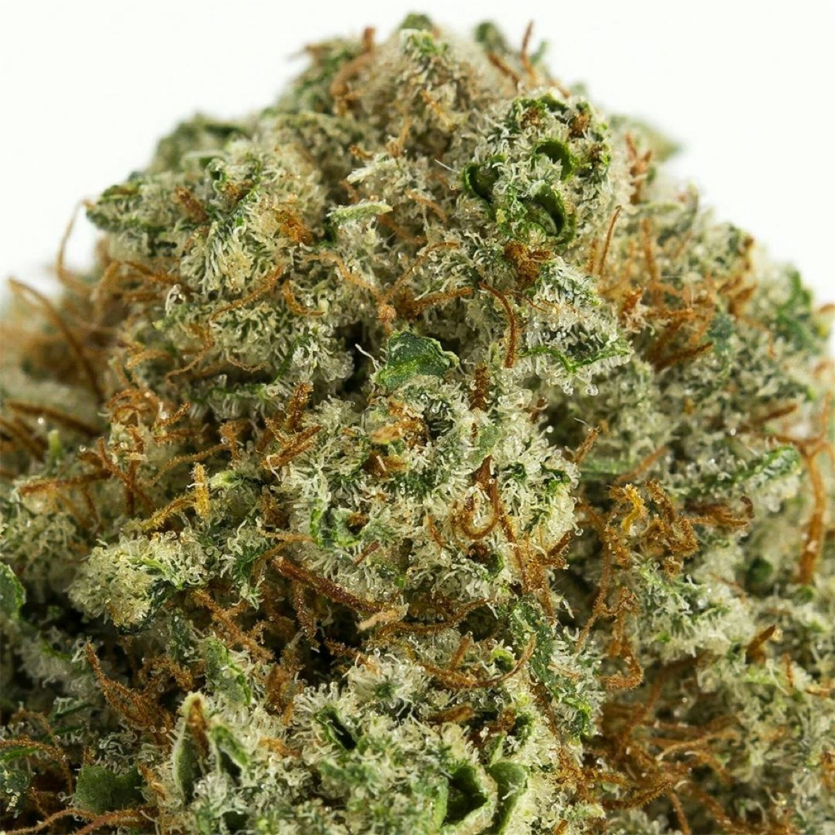 Photo of Fire OG