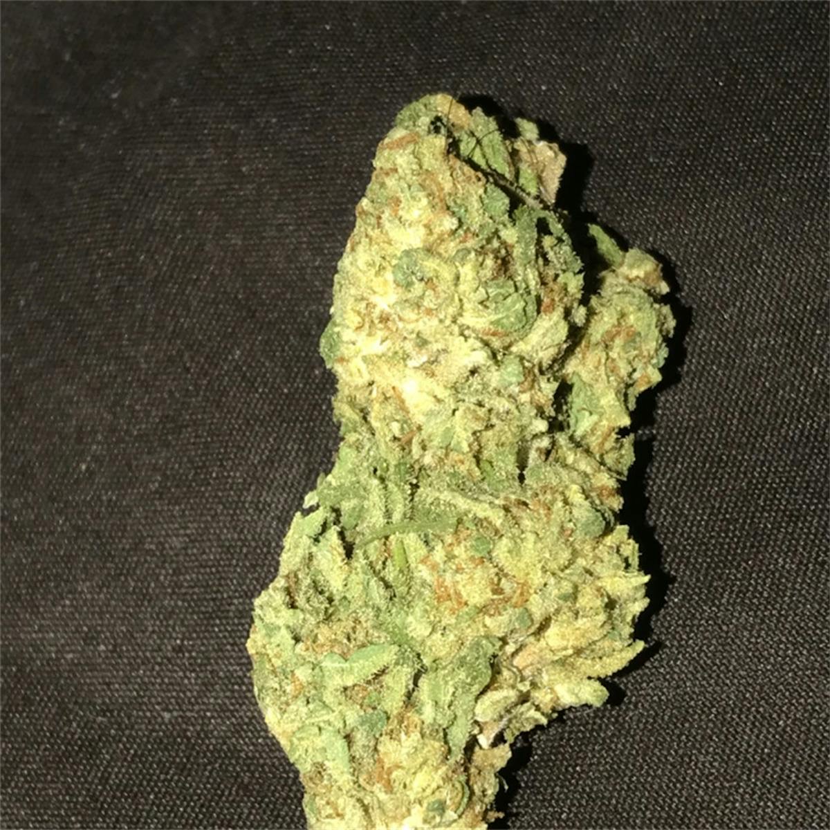 Photo of G13