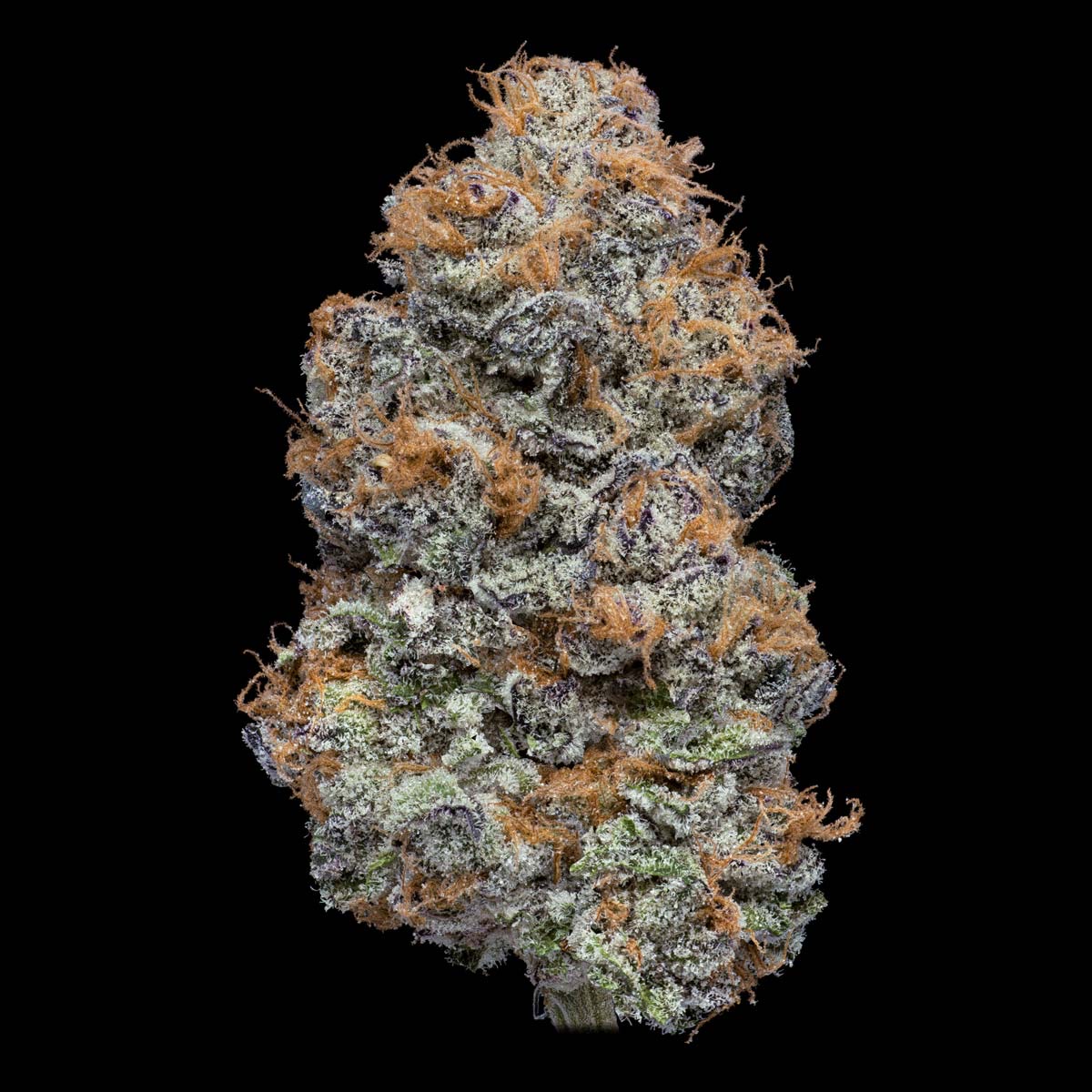 Photo of Garlic Breath