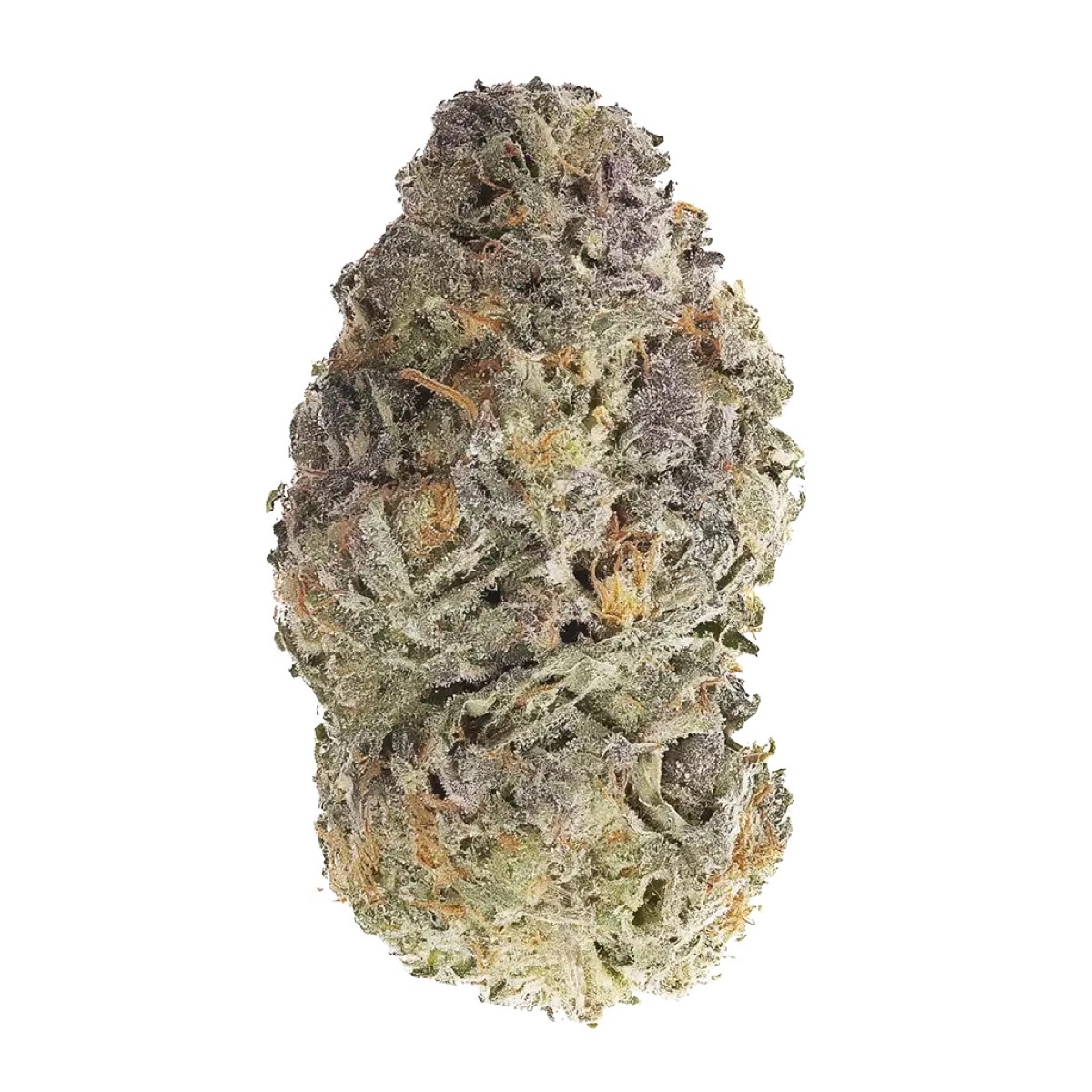 Photo of Gasoline Sherblato