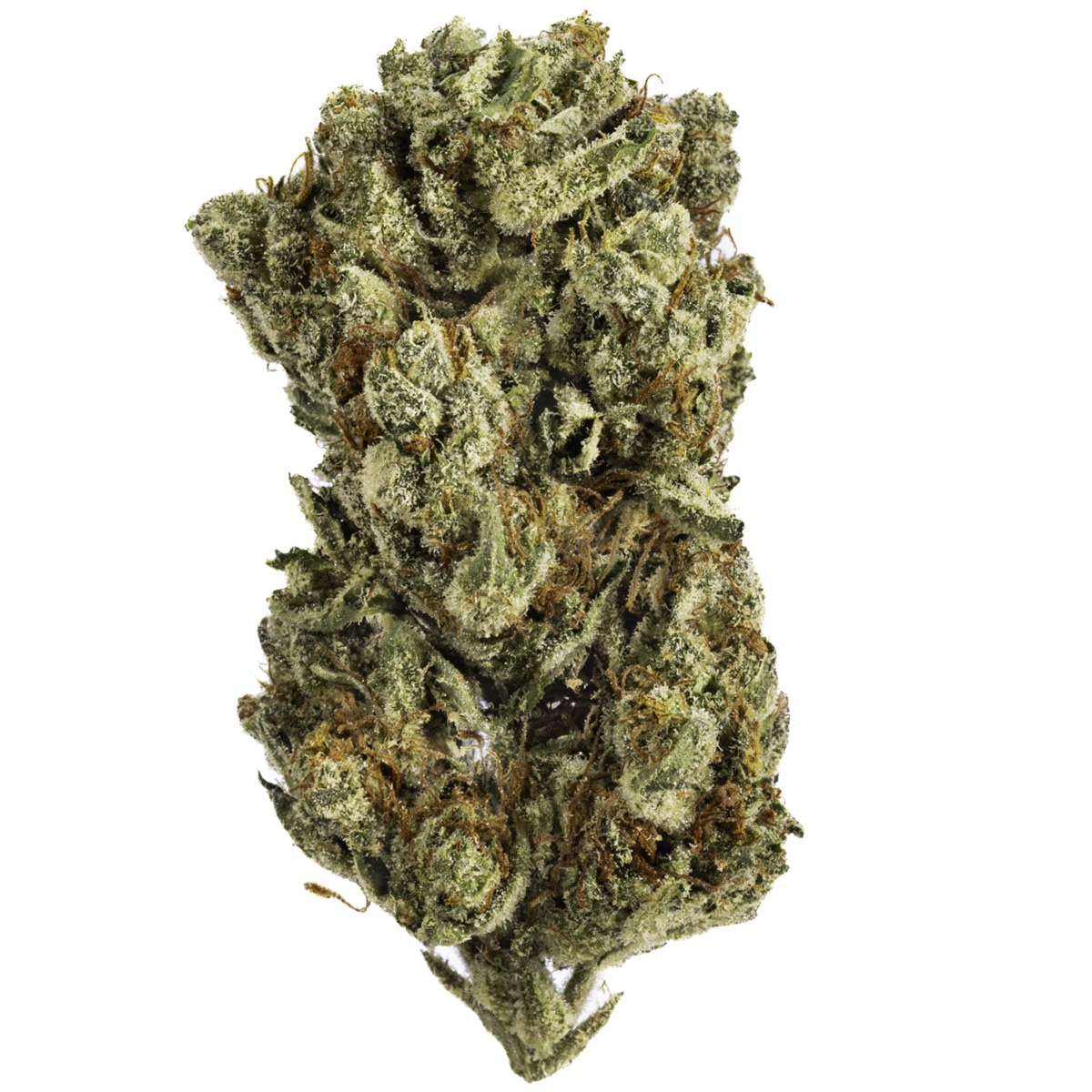 Photo of Gelato #25