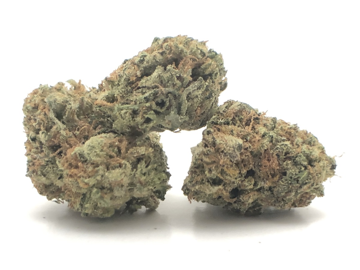 Photo of Gelato #33