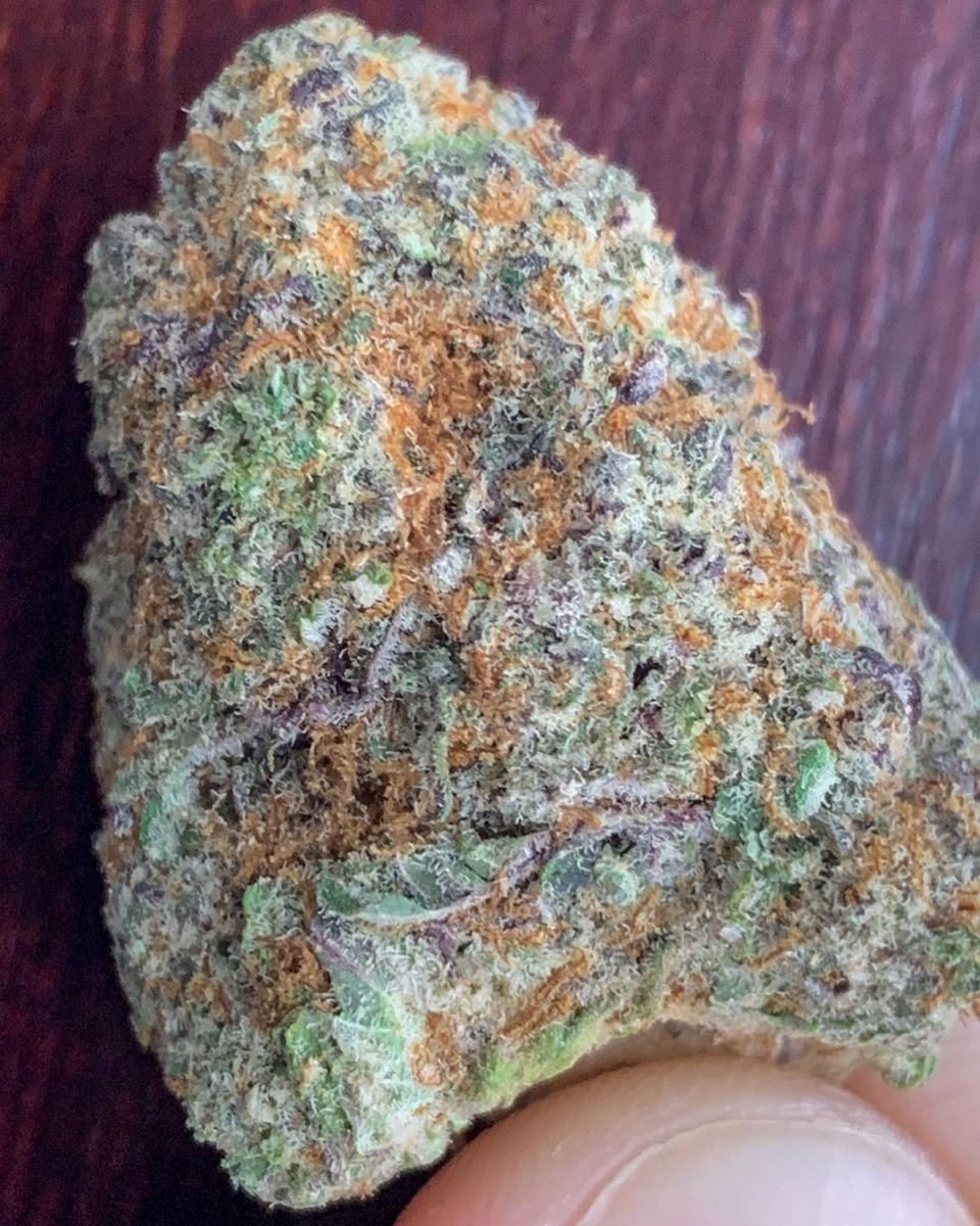 Photo of Gelato #41