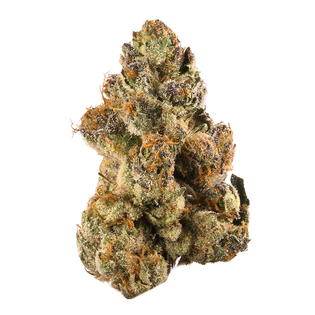 Photo of Gelato #42