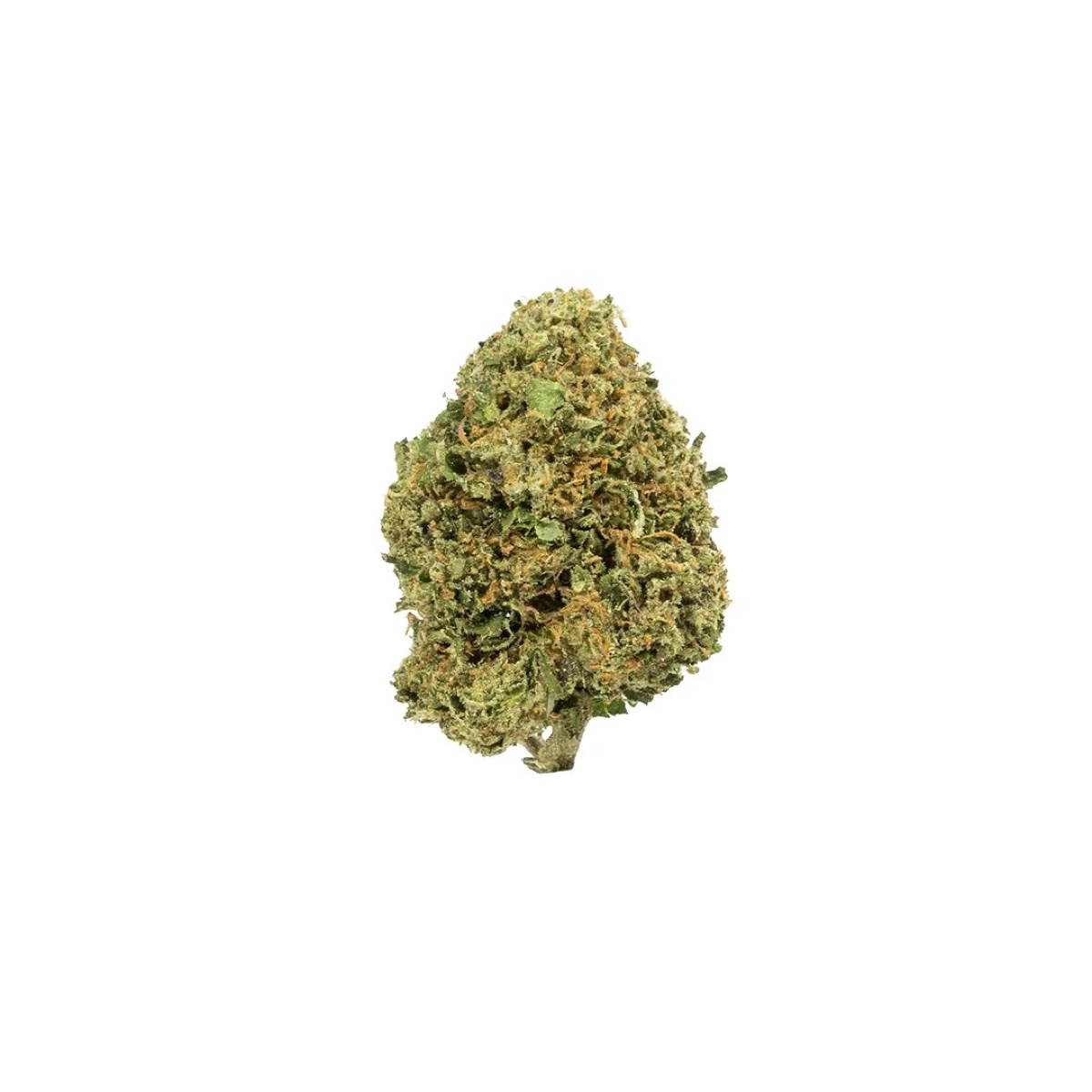 Photo of Gelato #45