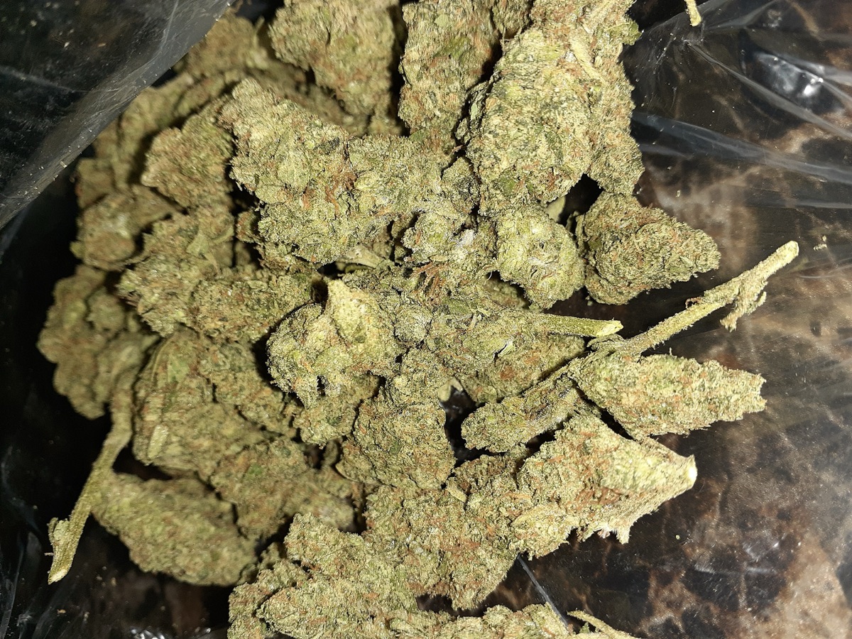 Photo of GMO Cookies