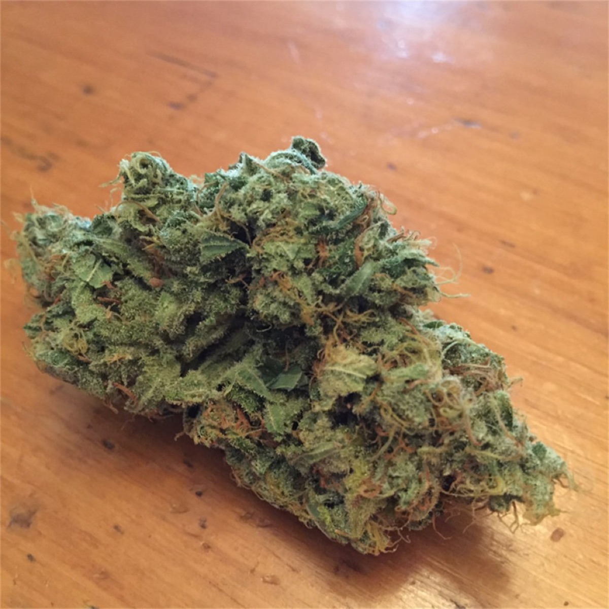 Photo of Golden Goat
