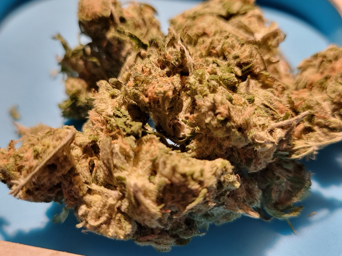 Photo of Golden Haze