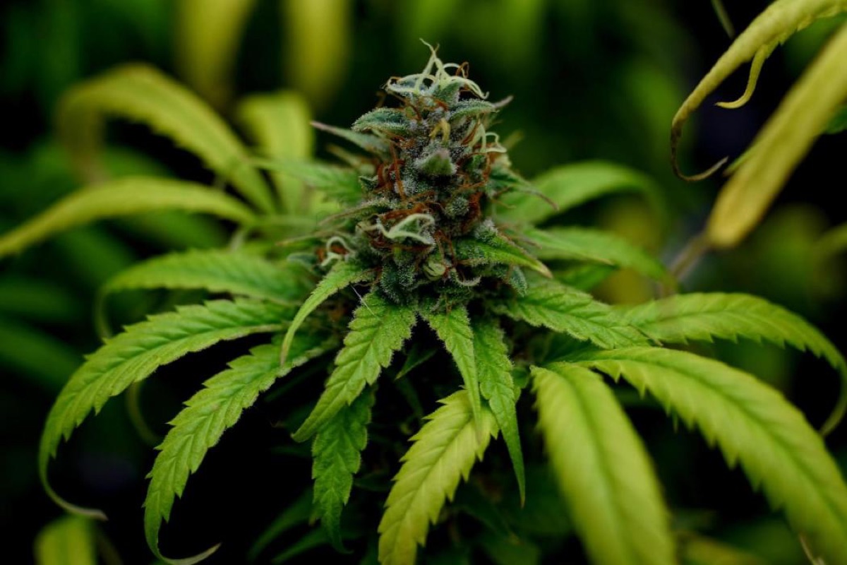 Photo of Gorilla Super Glue