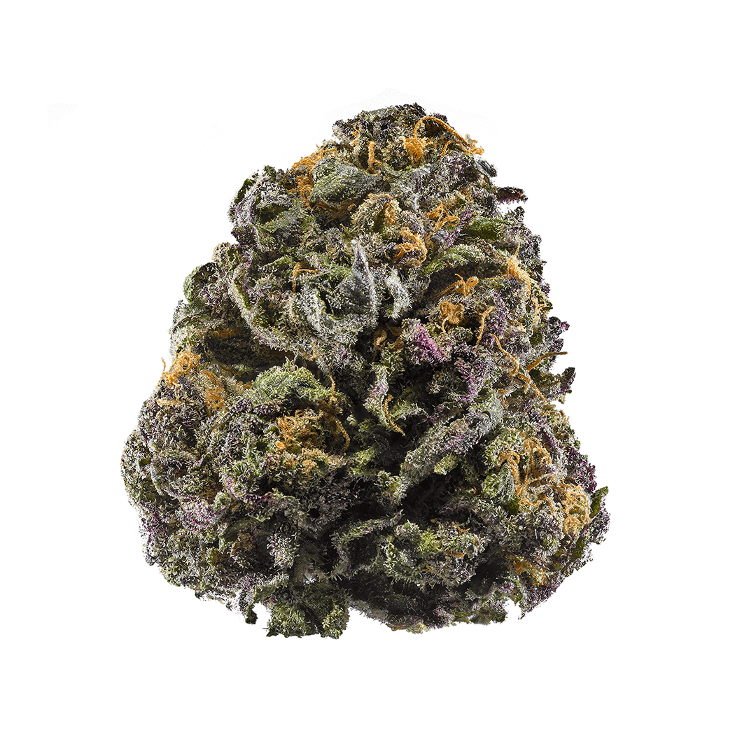Photo of Granddaddy Purple