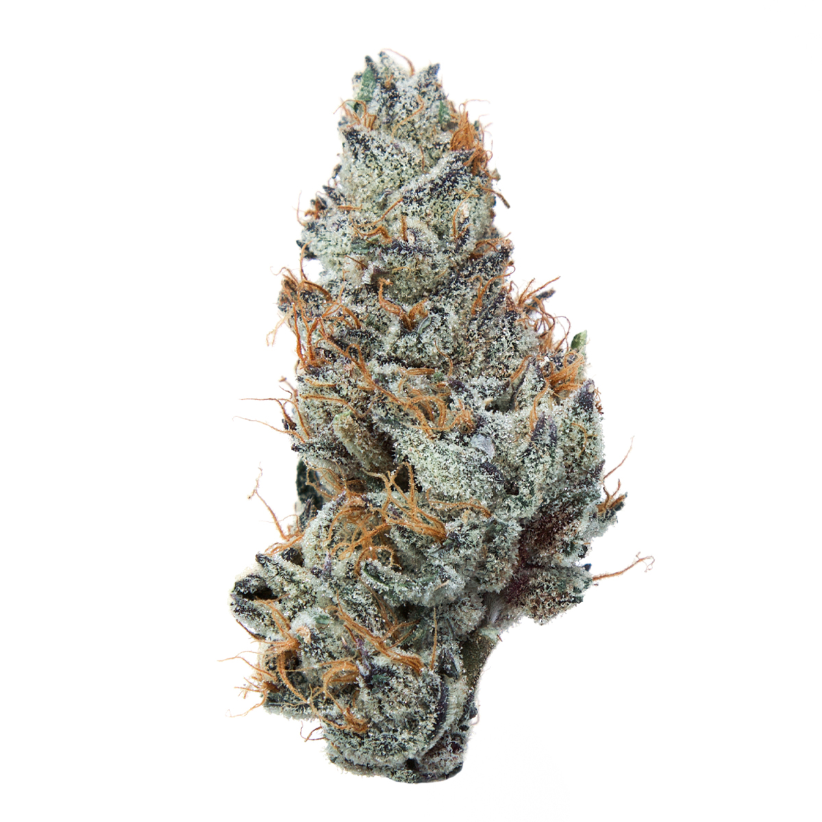 Photo of Grape Ape