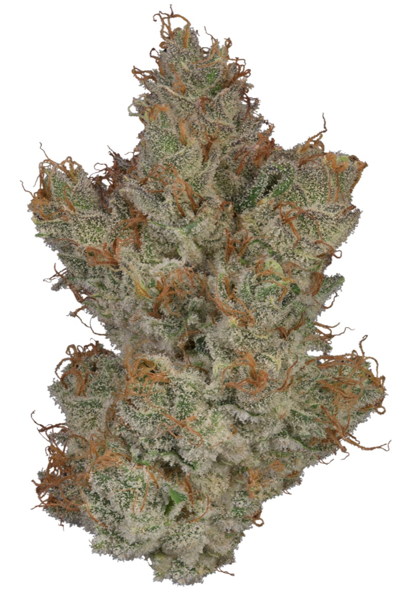 Photo of Grape Jam