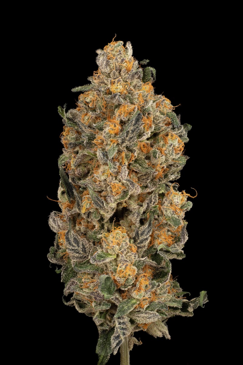 Photo of Grapevine Candy