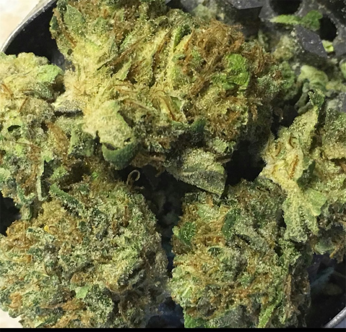 Photo of Grease Monkey