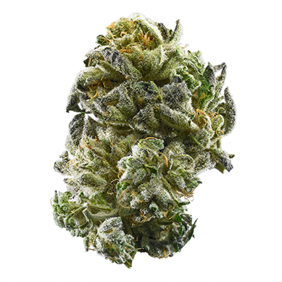 Photo of GSC