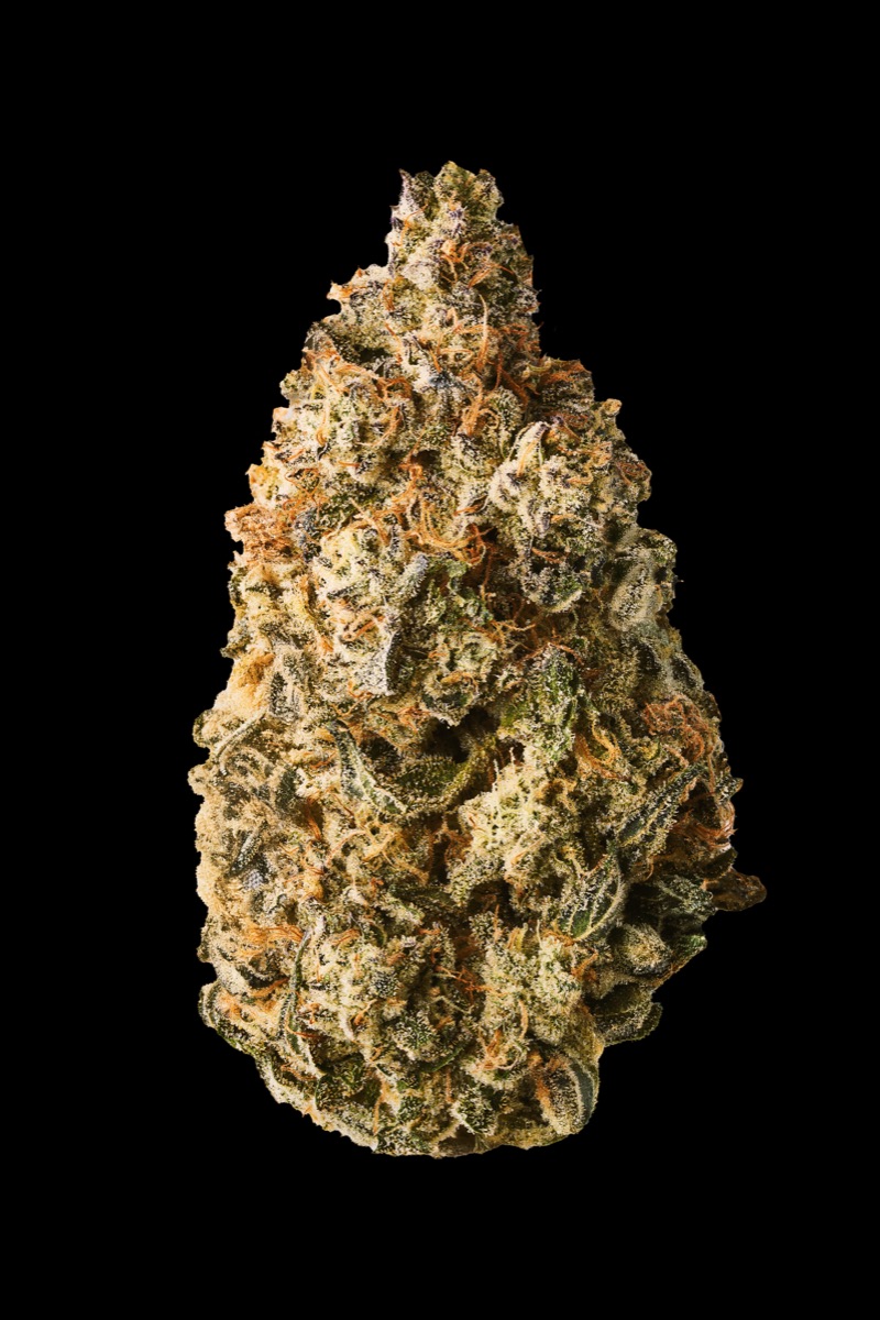 Photo of Hash Burger