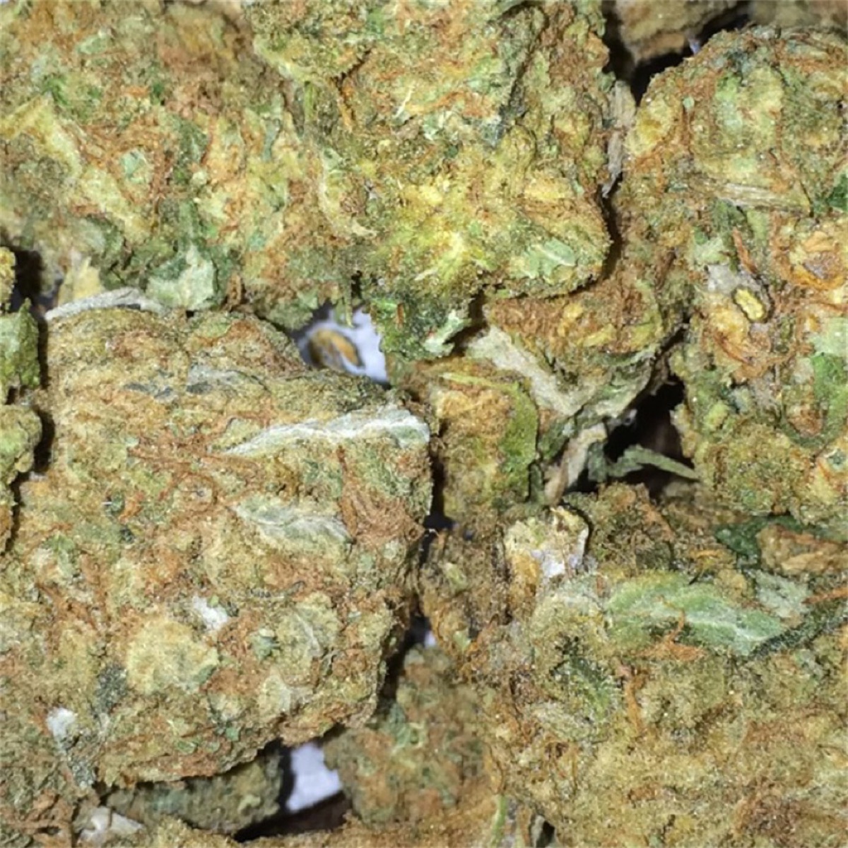 Photo of Haze Brothers