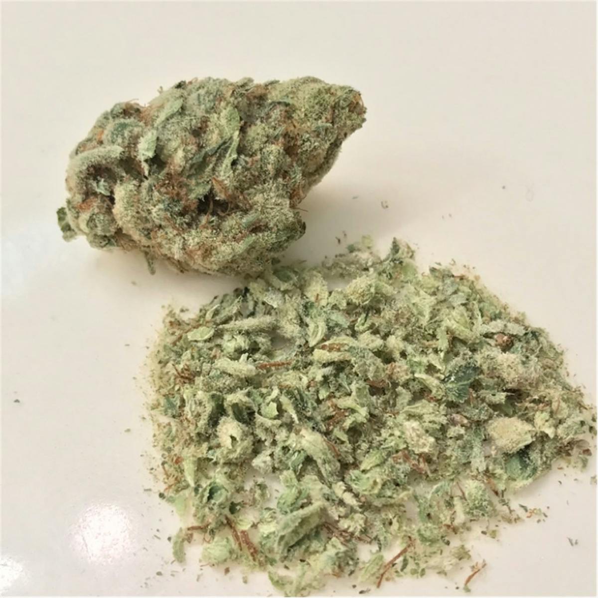 Photo of Haze