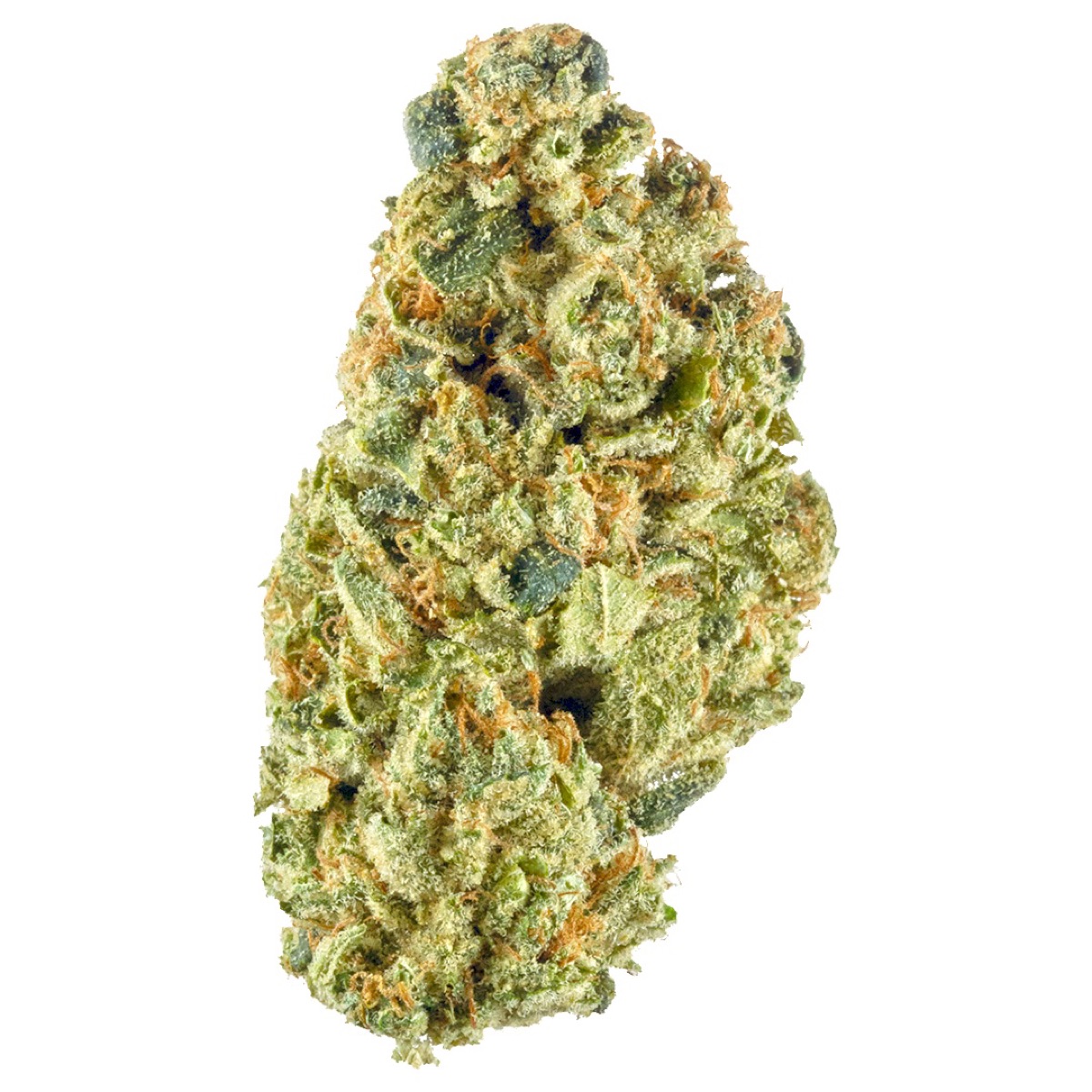 Photo of Headband