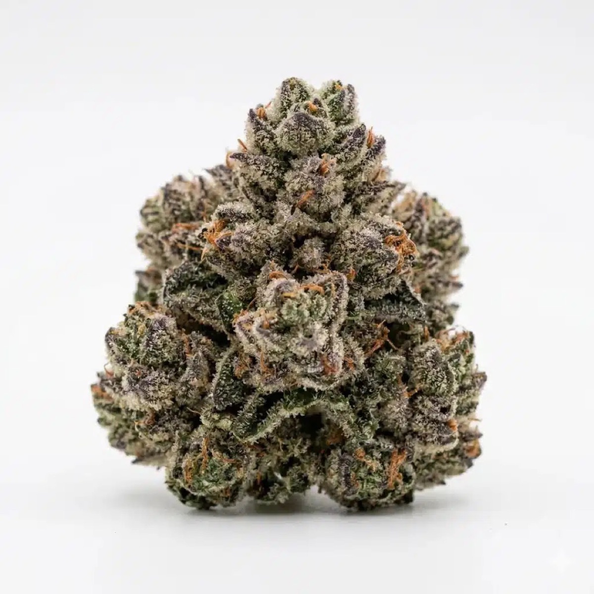 Photo of Hindu Kush