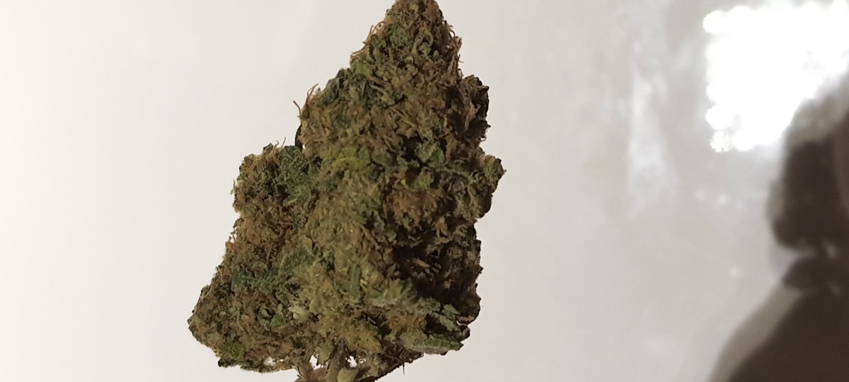 Photo of HulkBerry