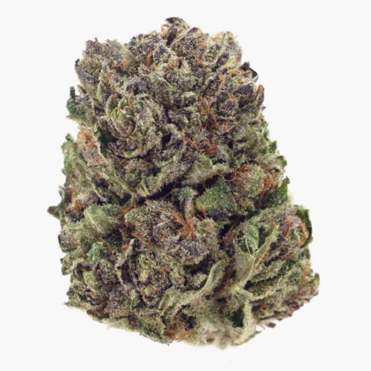Photo of Insane OG
