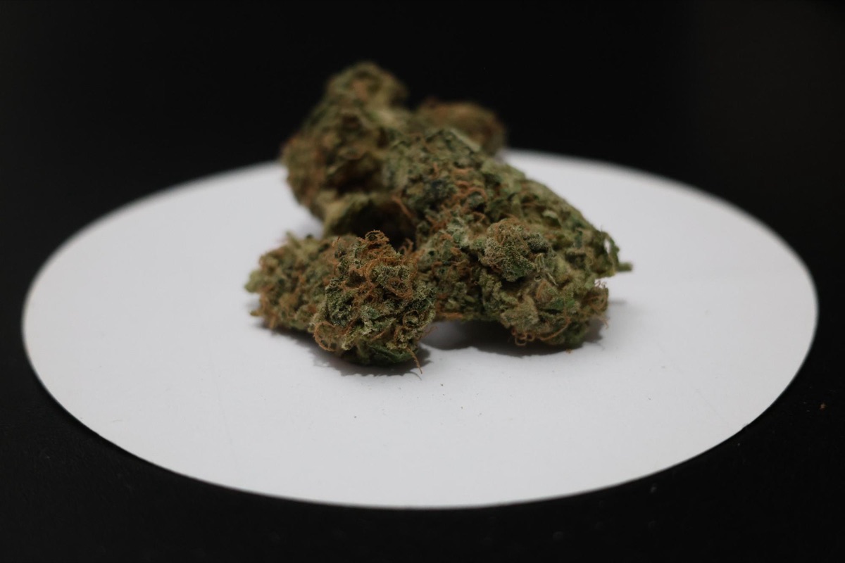 Photo of Karel's Dank