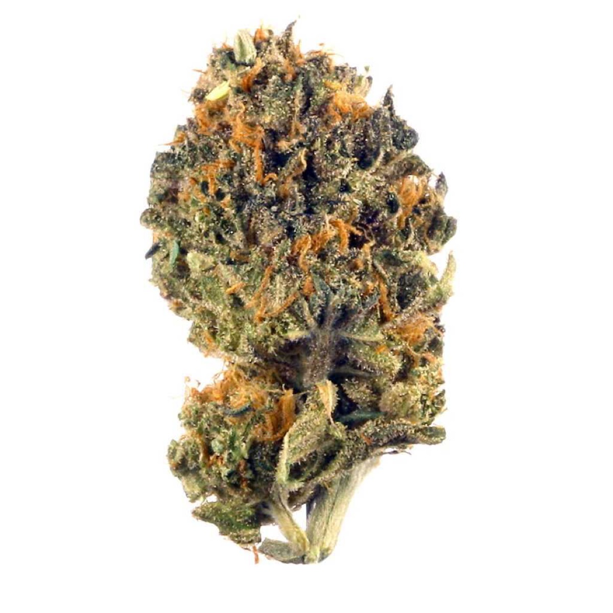 Photo of LA Kush Cake