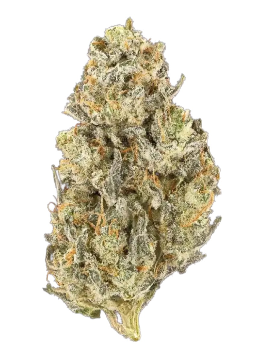 Photo of Lambo Haze