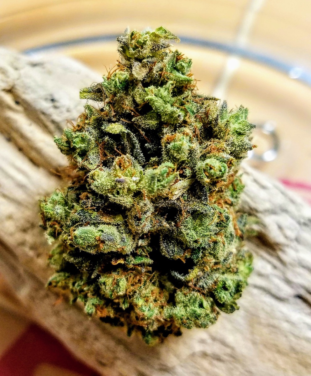 Photo of Larry OG