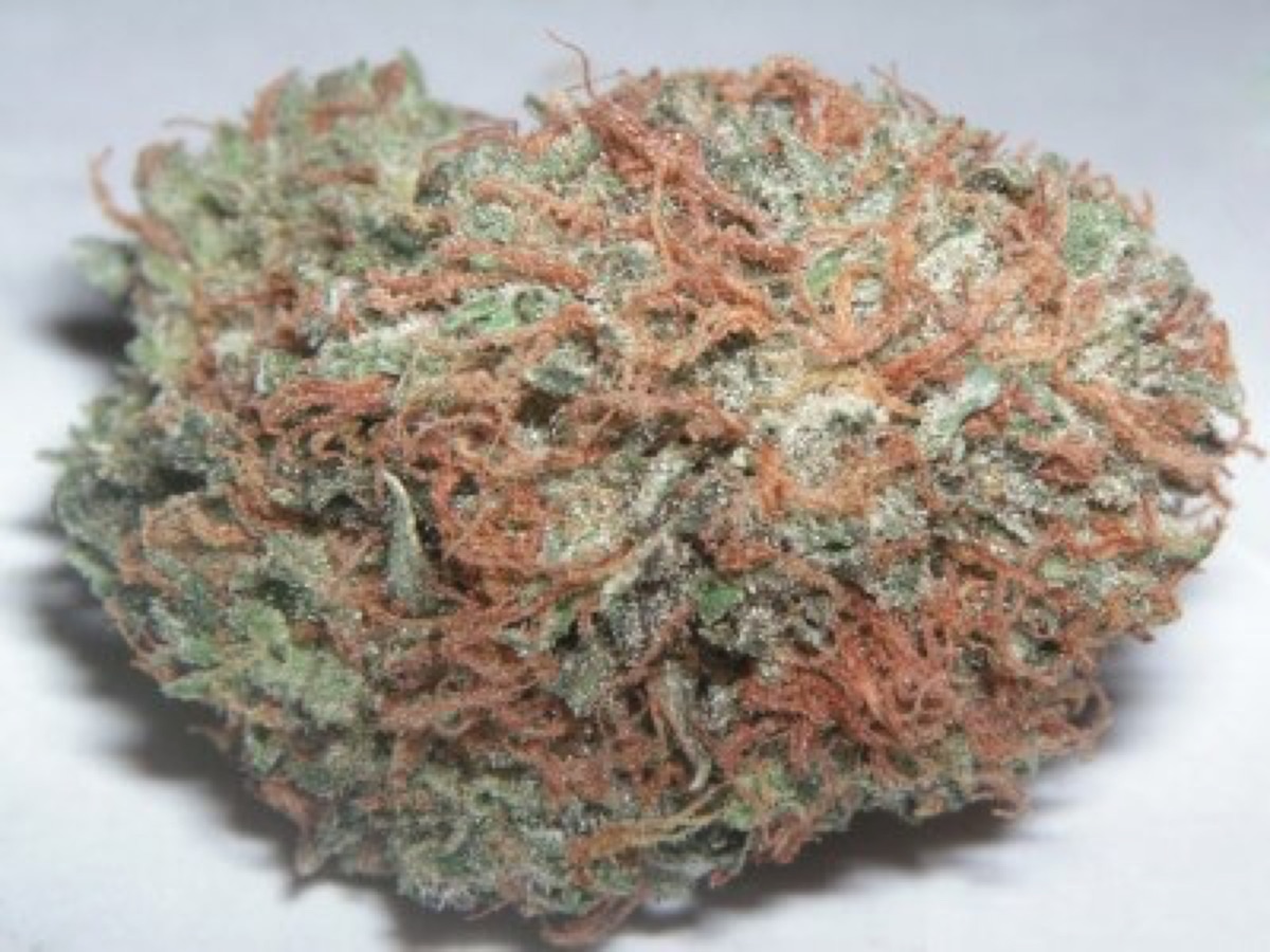 Photo of Las Vegas Lemon Skunk