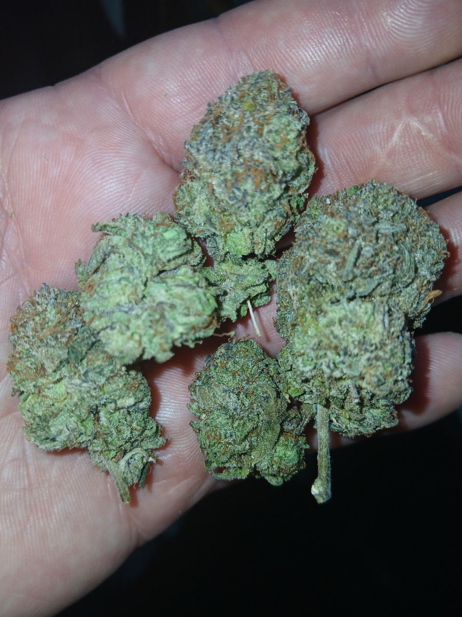 Photo of Lemon Cherry Runtz