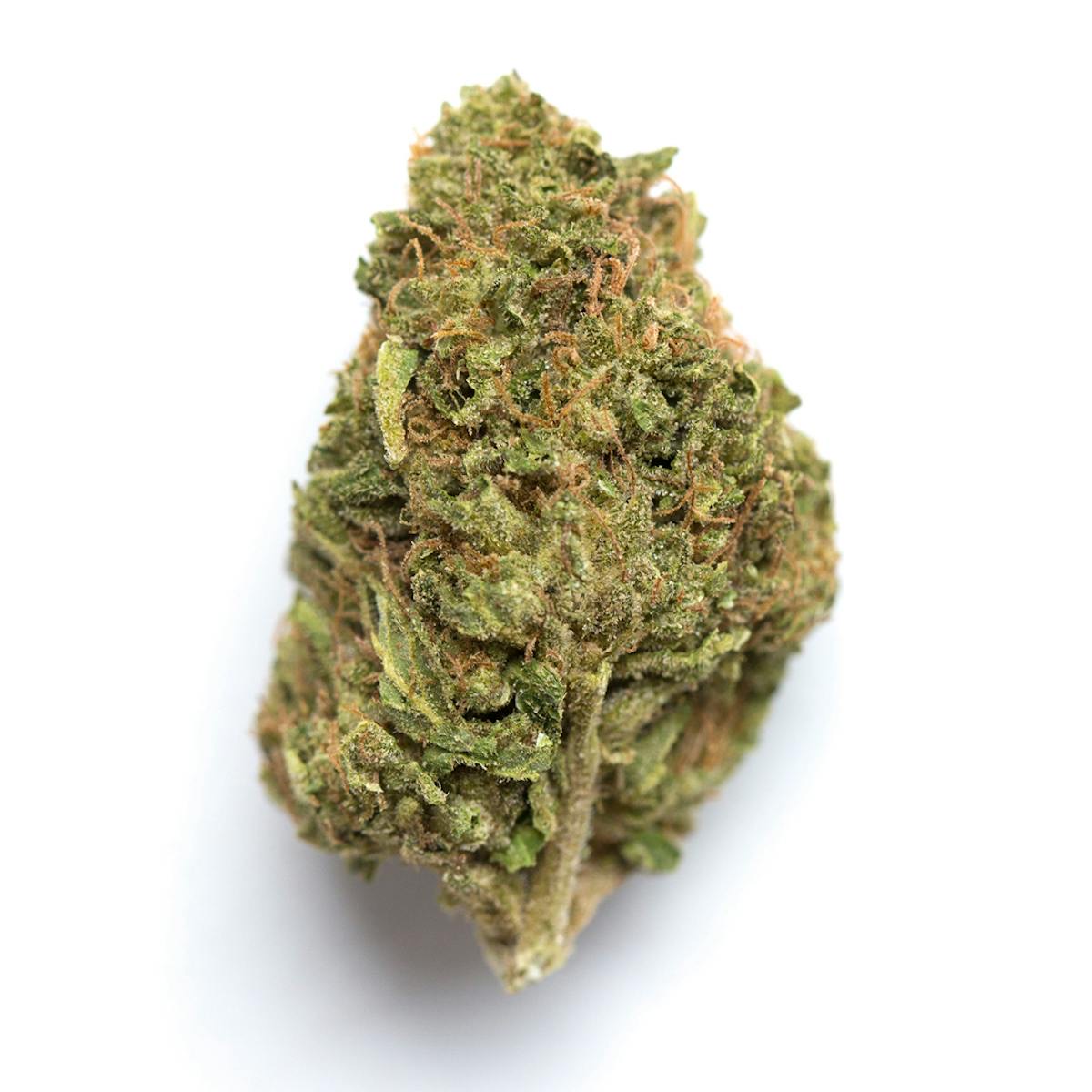 Photo of Lemon Kush