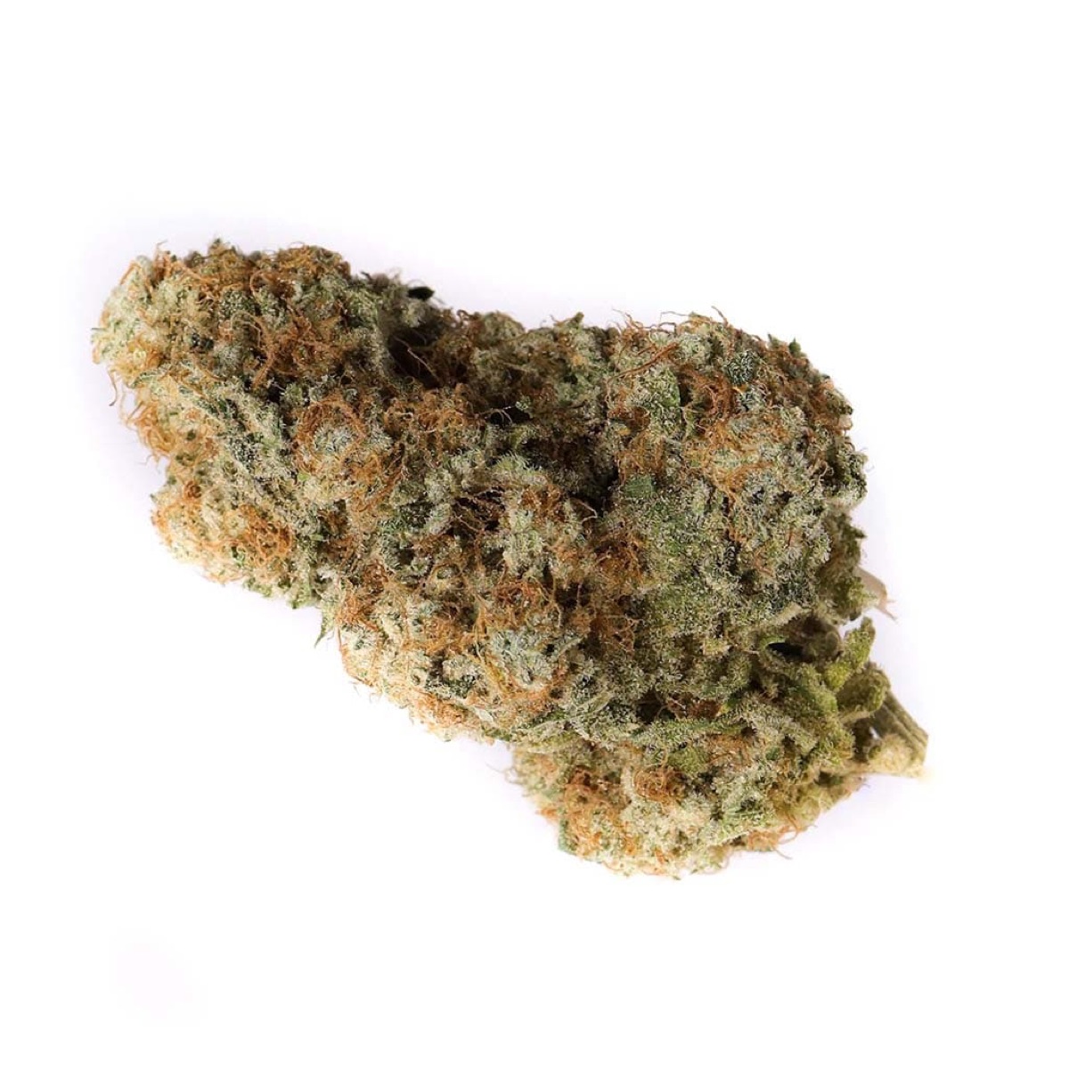 Photo of Lemon Z
