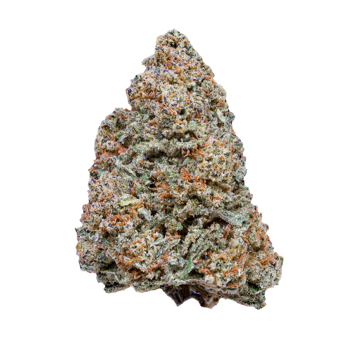 Photo of MAC 1