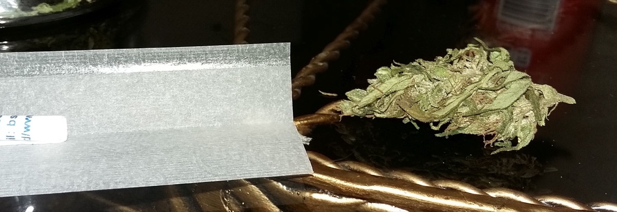 Photo of Malawi Gold