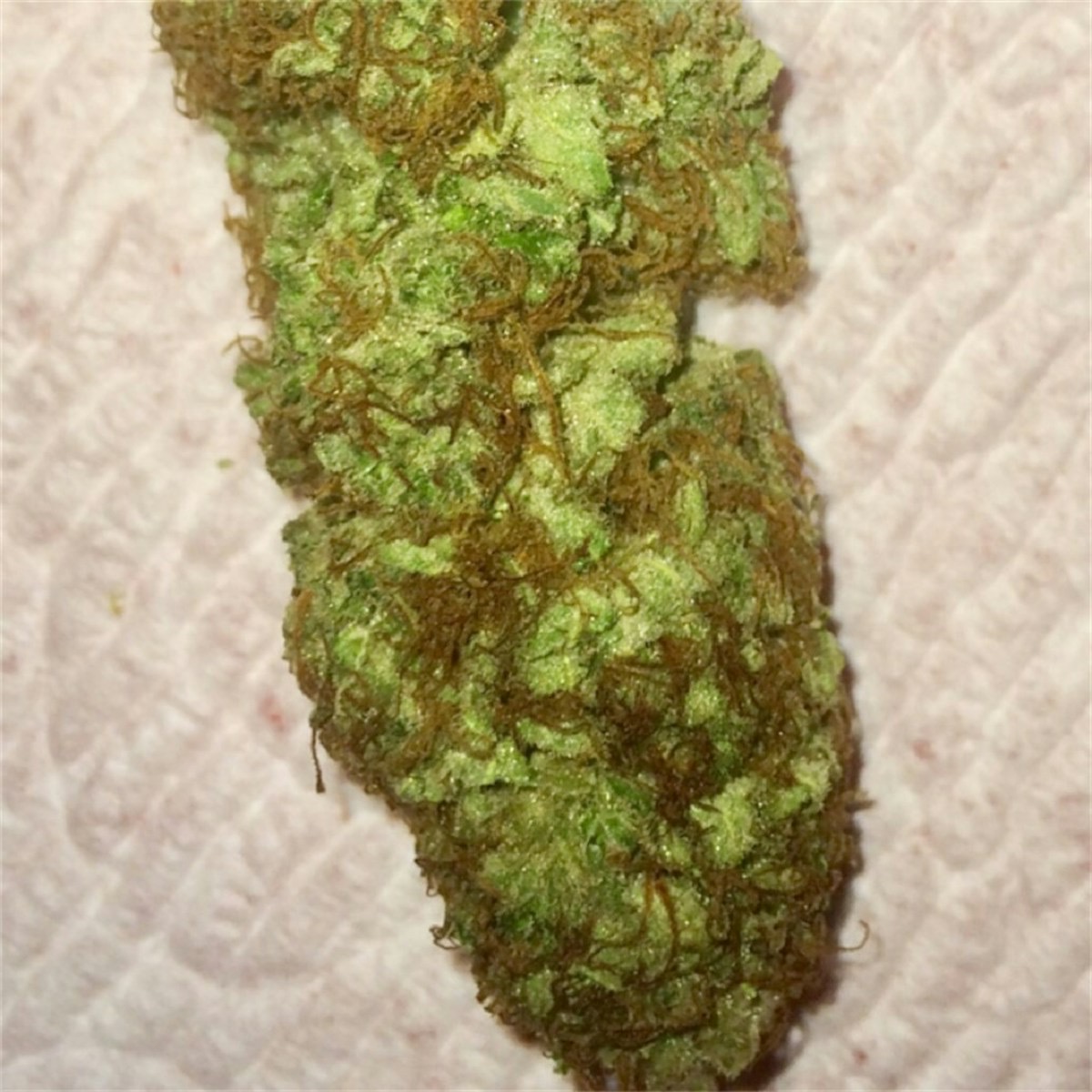 Photo of Maui Wowie