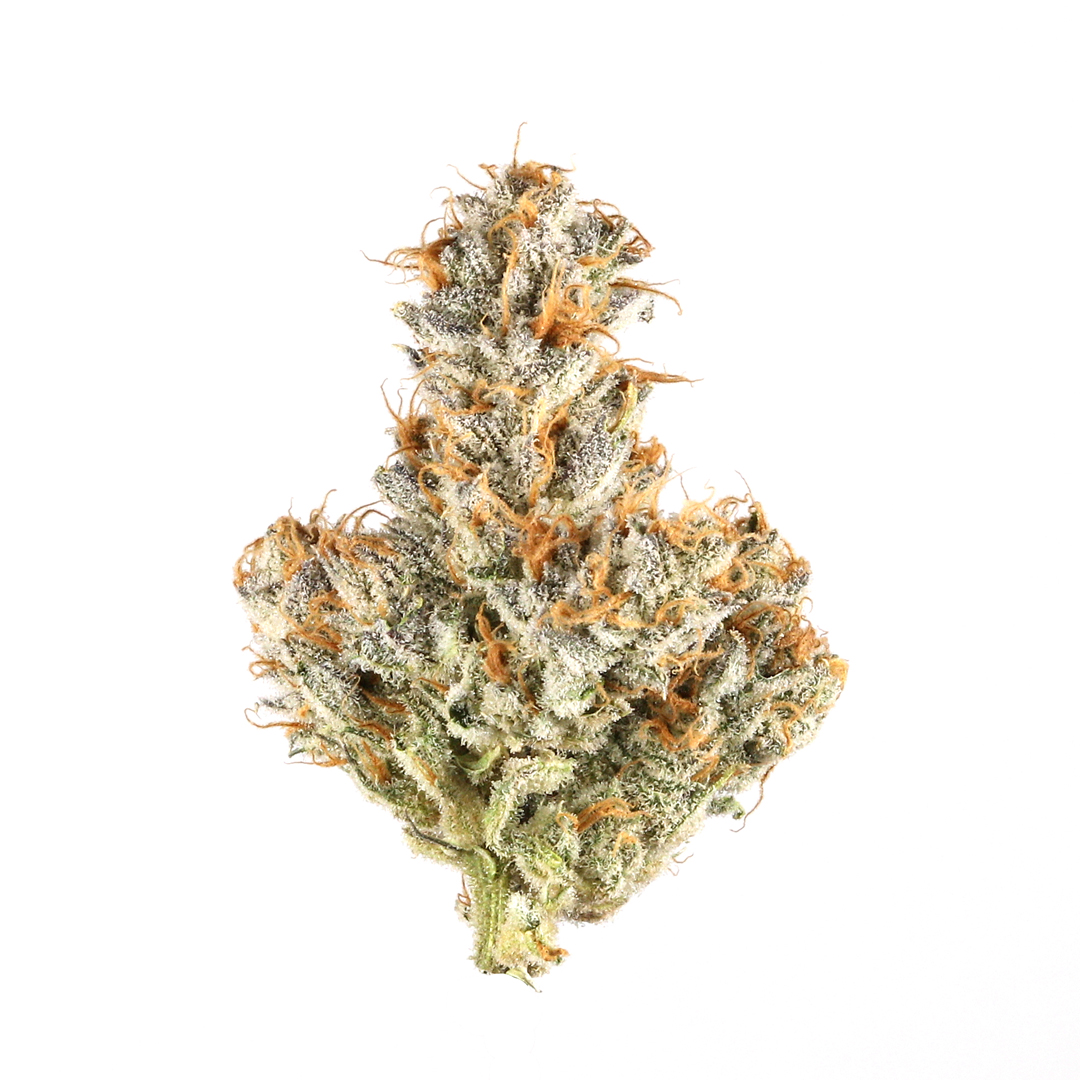 Photo of Mendo Breath