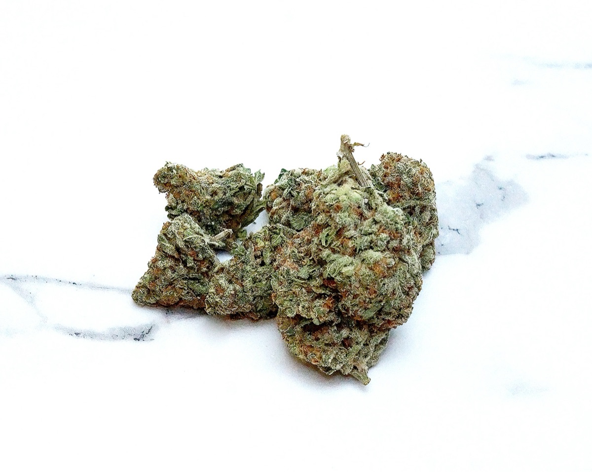 Photo of Mendocino Purps Landrace