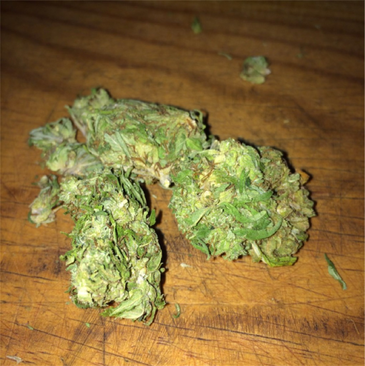 Photo of Mexican Sativa