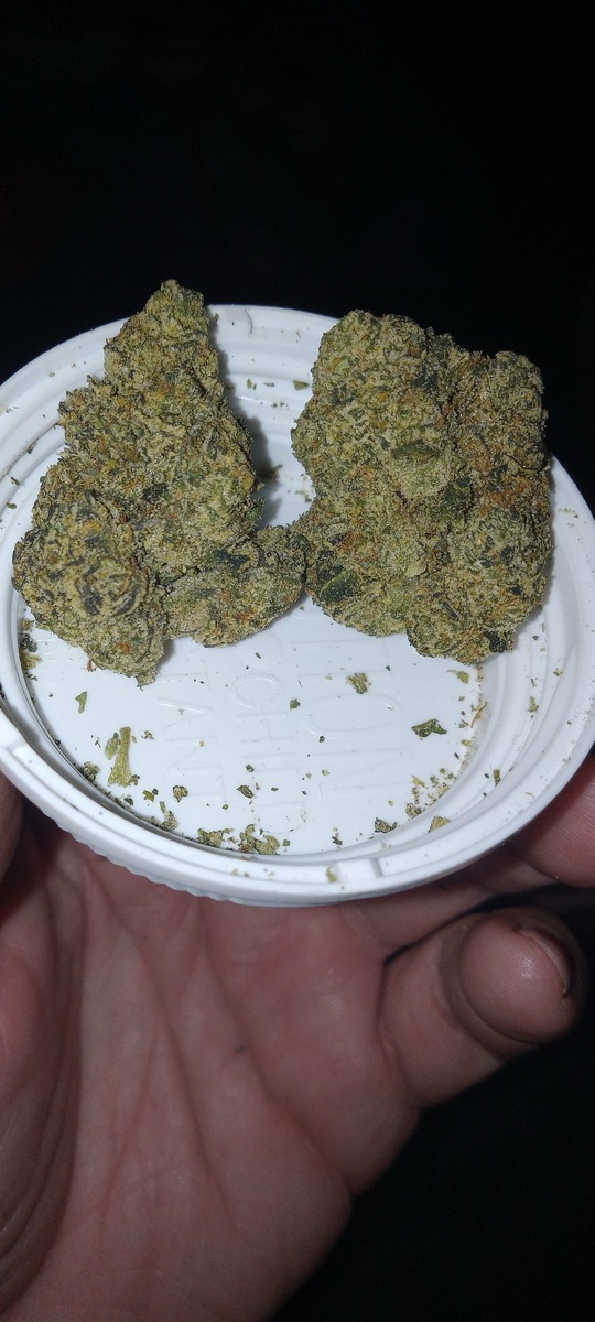 Photo of Mint Sherbert