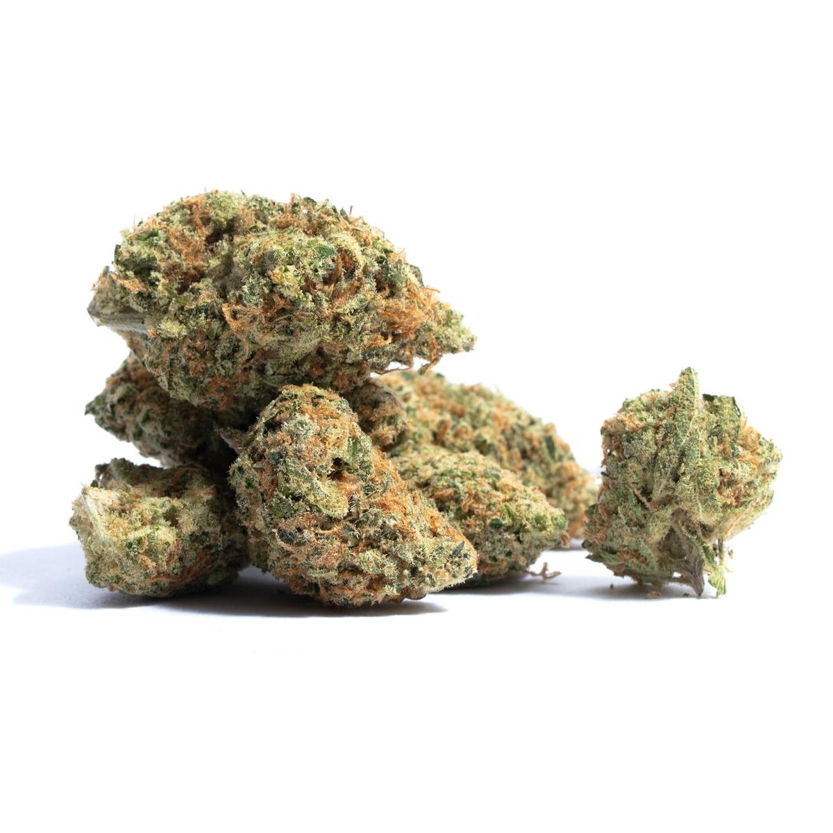 Photo of MK Ultra