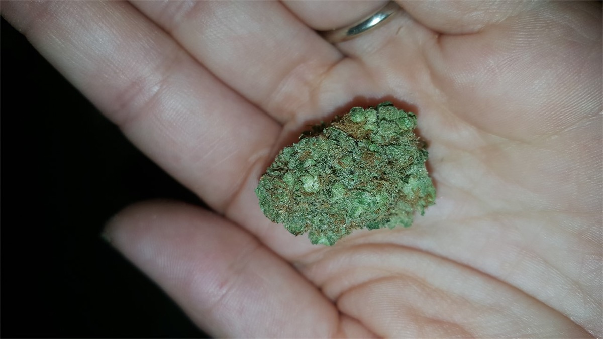 Photo of Mother's Finest