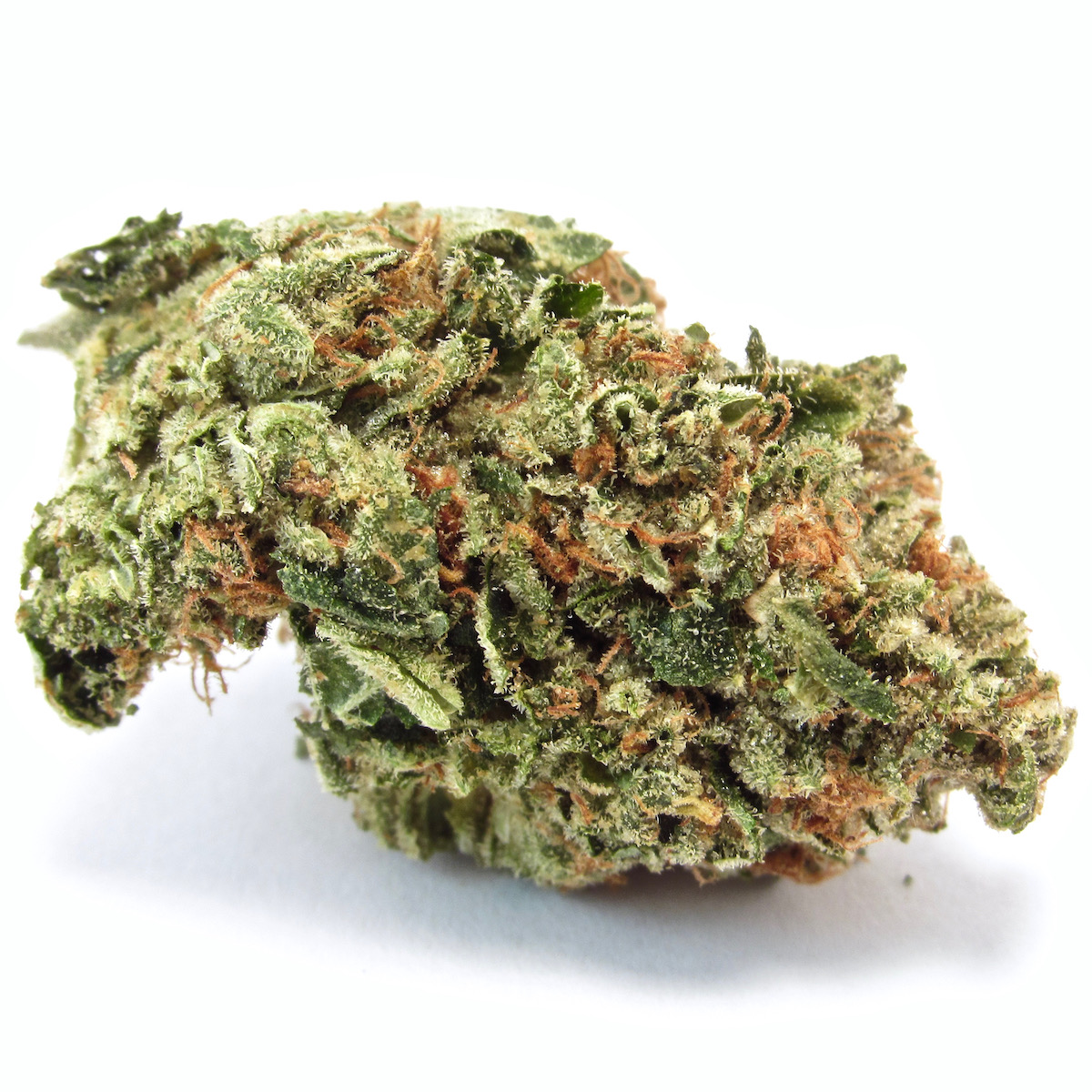 Photo of Motorbreath