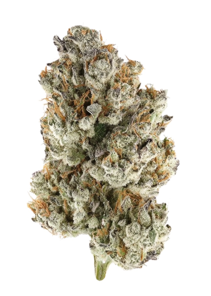 Photo of Neon Frost