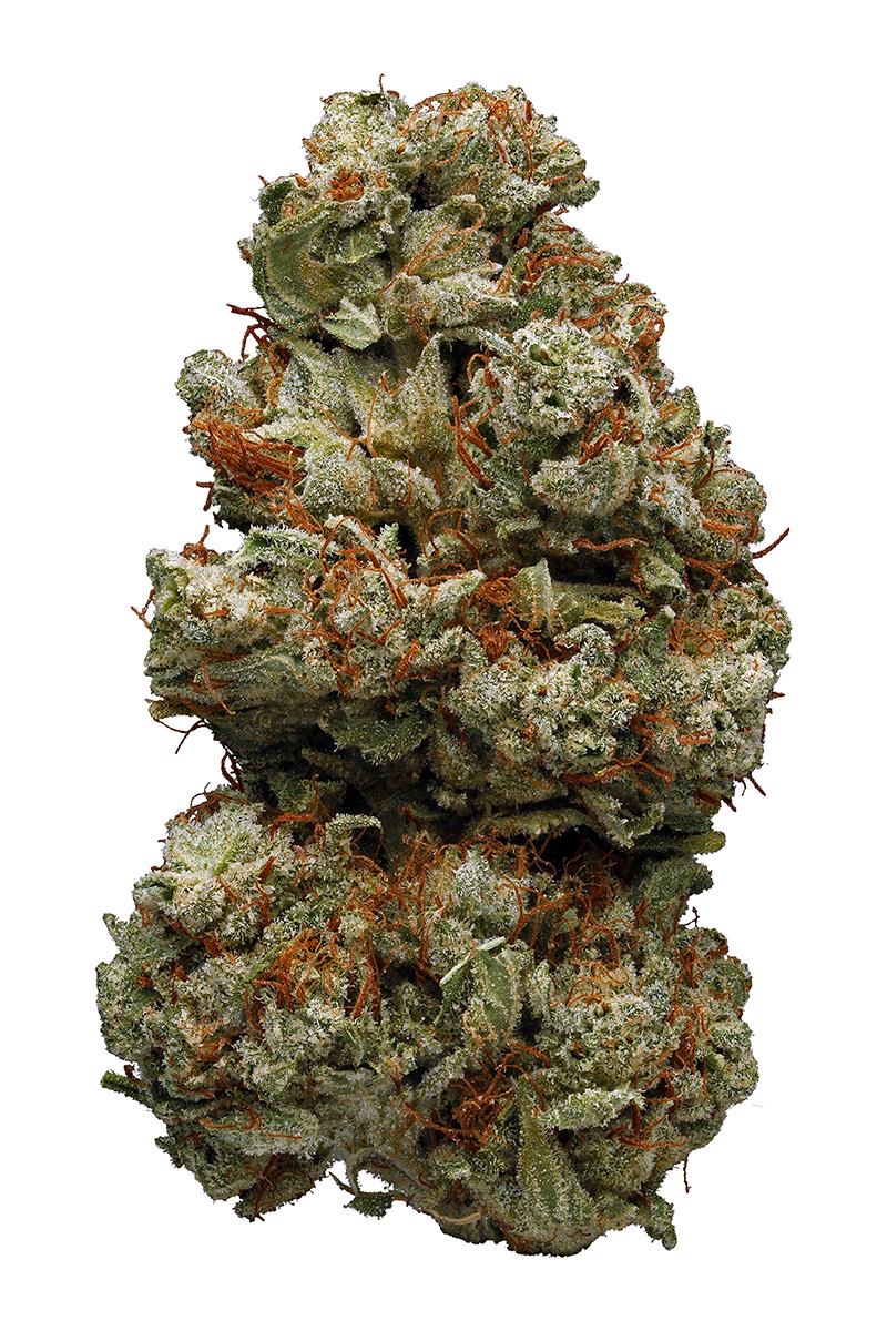 Photo of Northern Lights #1