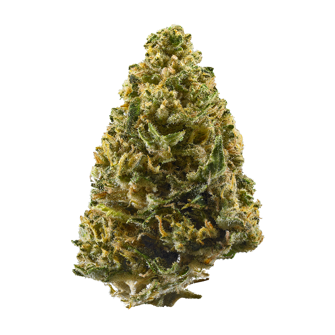 Photo of Northern Lights