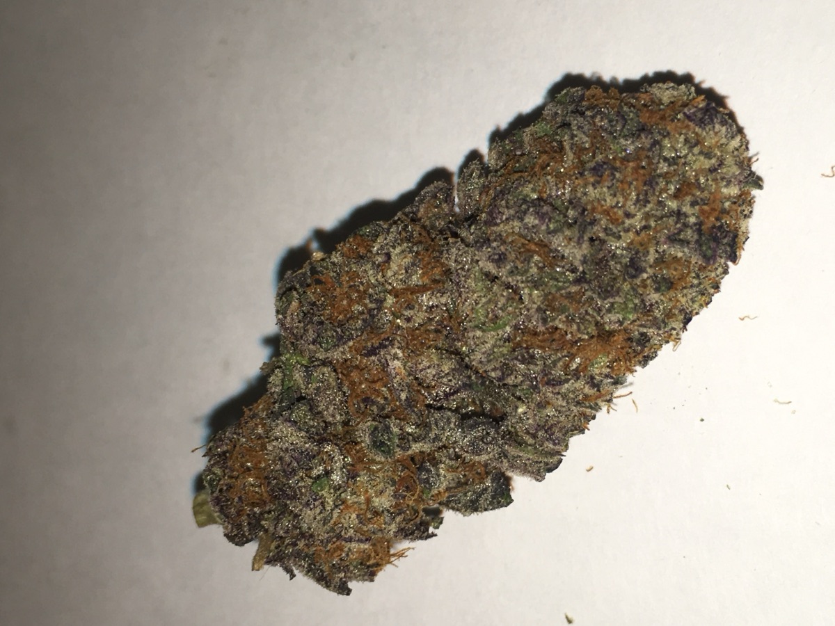 Photo of Obama Kush