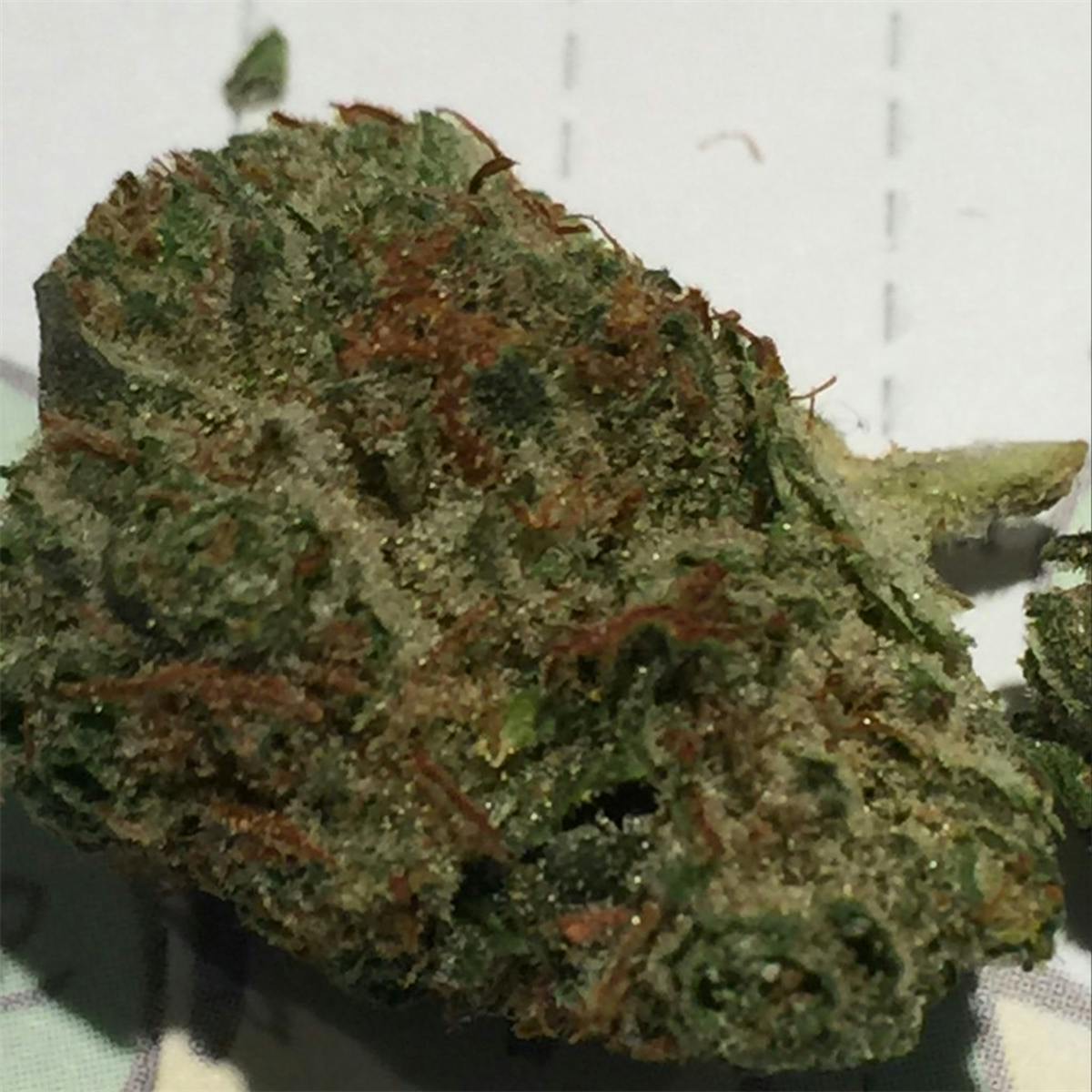 Photo of OG LA Affie